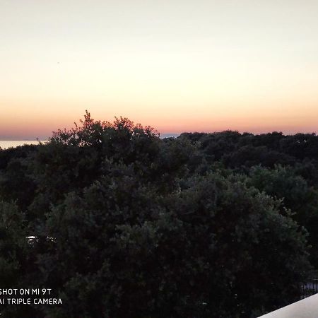 Apartment Feliks マンドレ エクステリア 写真